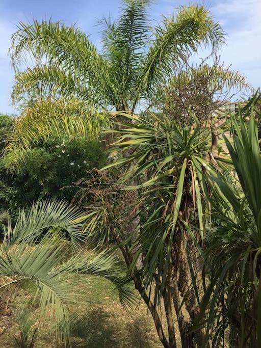 Mare E Monte , Jardin Mediterraneen Et Exotique. Ghisonaccia Exteriör bild